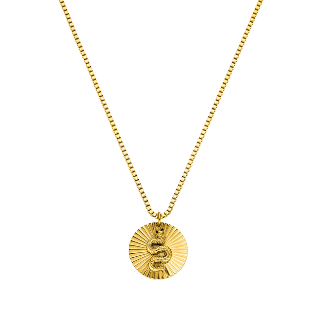PURELEI Snake Coin Kette in 18K Gold mit geprägtem Schlangensymbol, elegant und nickelfrei, zeitlos feminin.