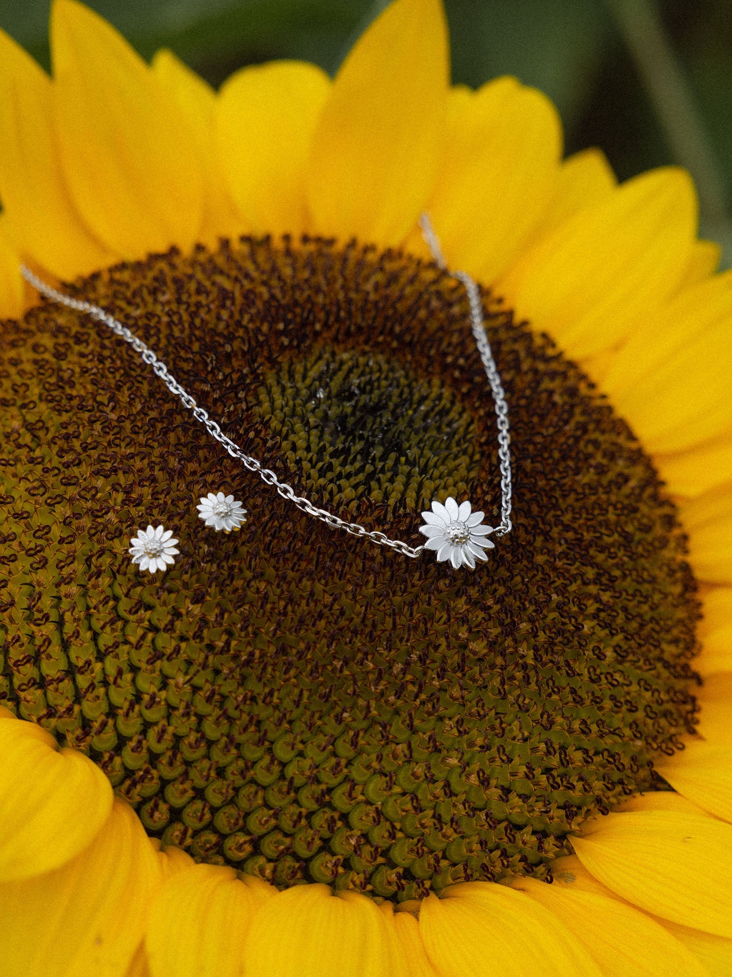 Goldene Blütenkette von PURELEI auf Sonnenblume, strahlend und lebendig.