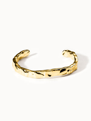 {"color":"Gold", "type":"lead_image"}