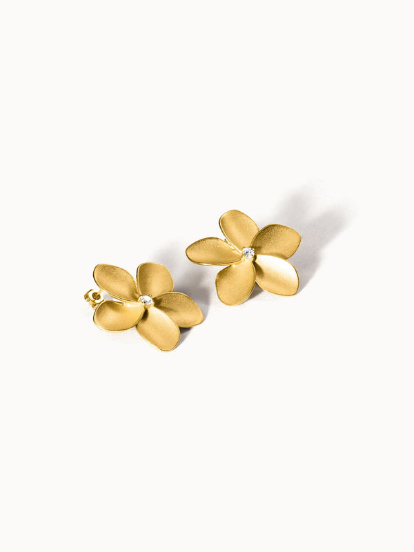 {"color":"Gold", "type":"lead_image"}