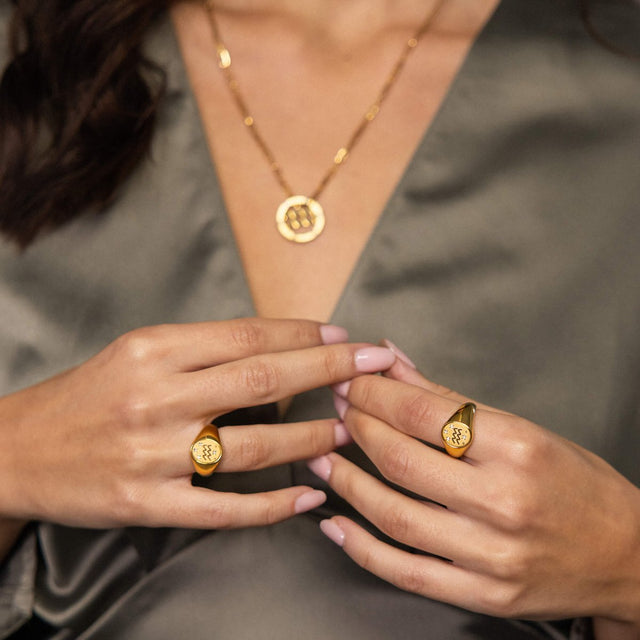 Aquarius Zodiac Ring - INT PURELEI