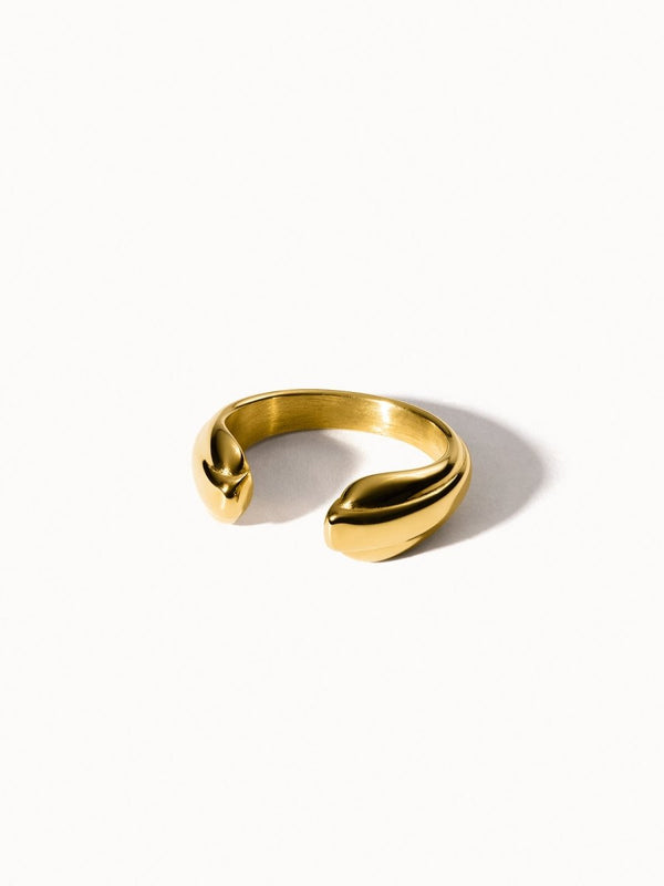 Open Mind Ring - INT PURELEI