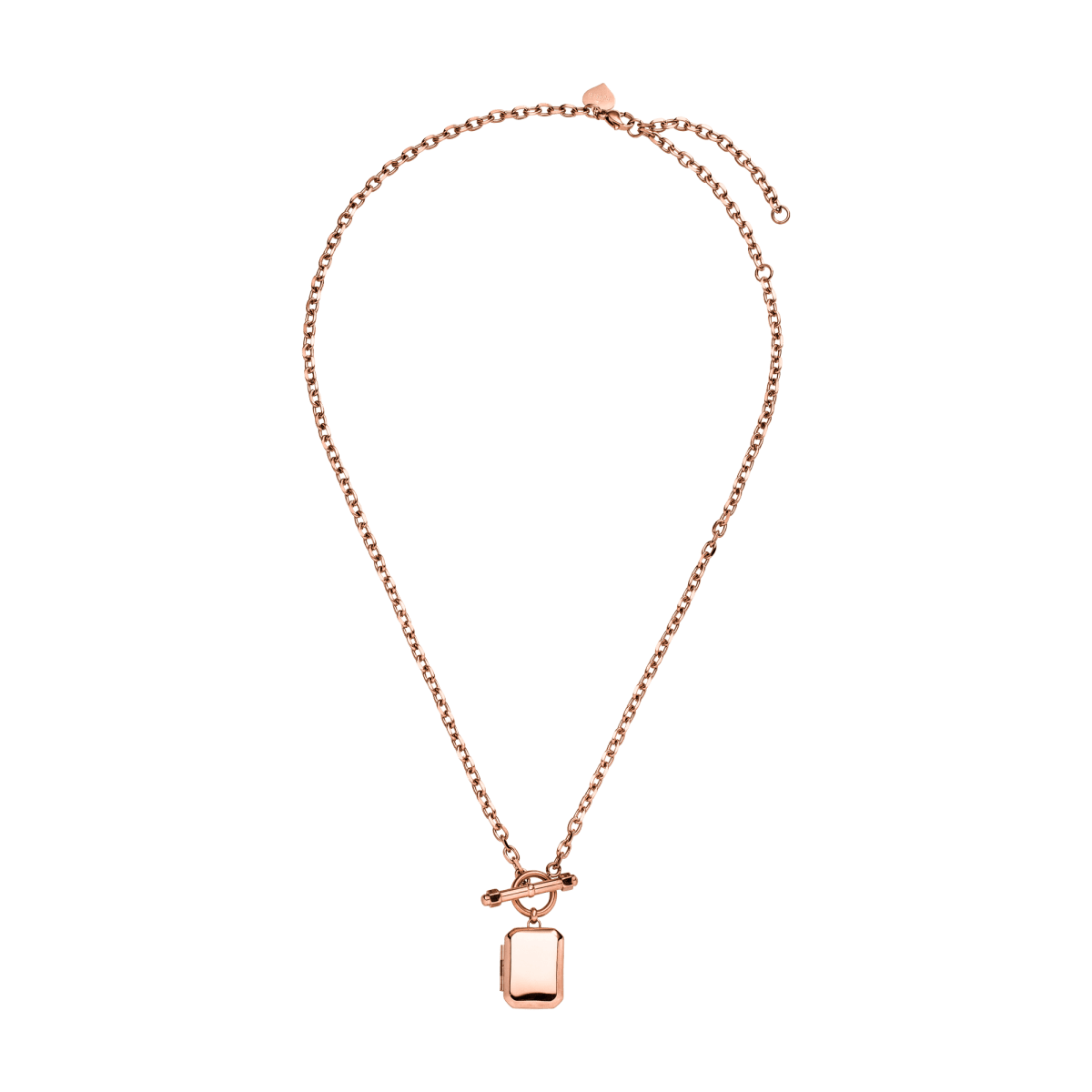 Soulmate Medallion Necklace - INT PURELEI