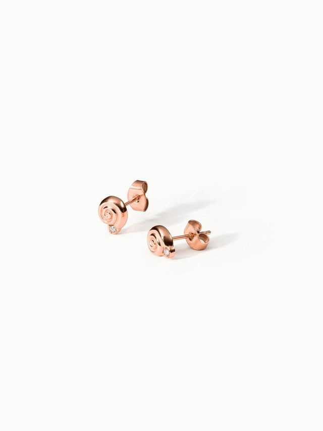 Sundial Shell Earring - INT PURELEI